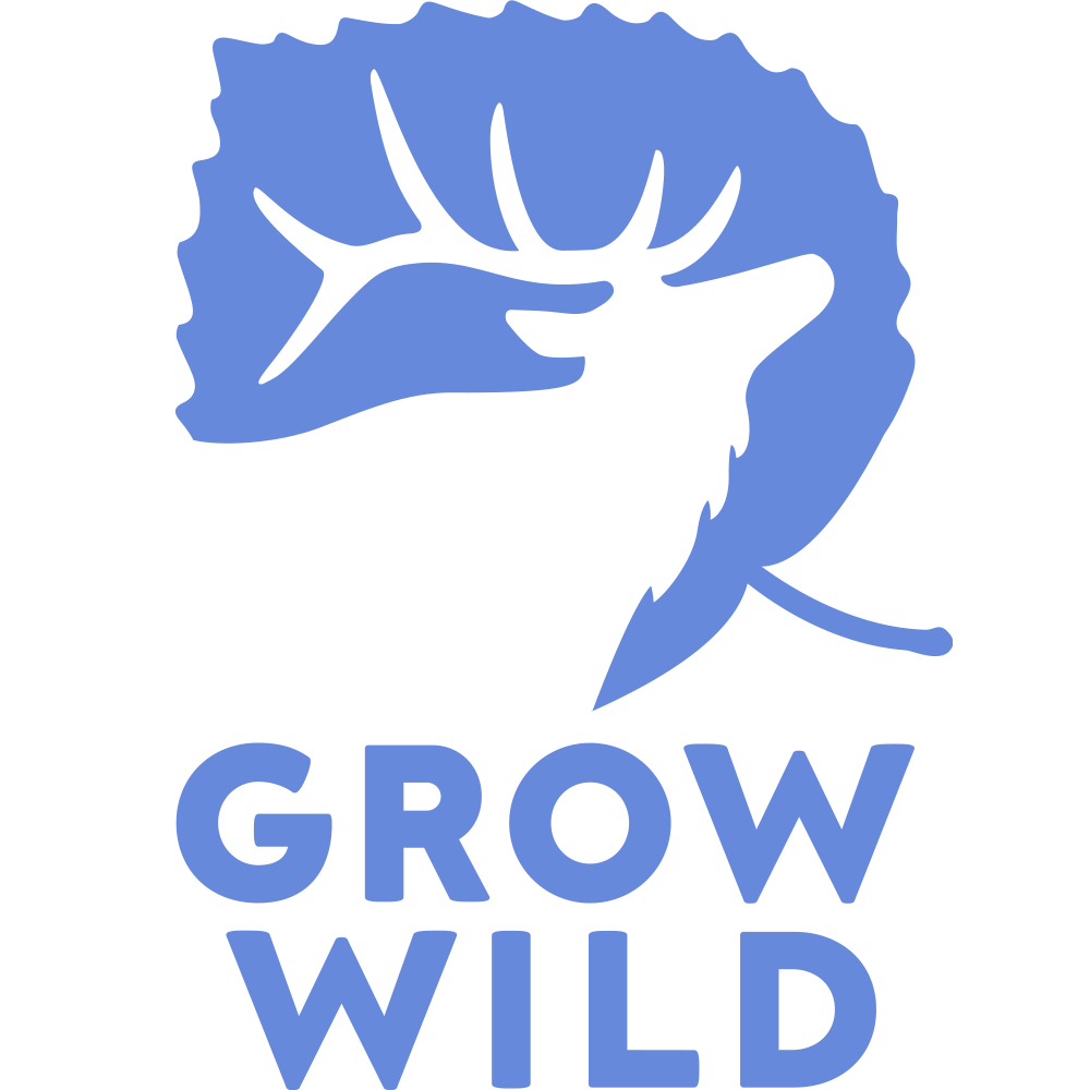 Logo 7