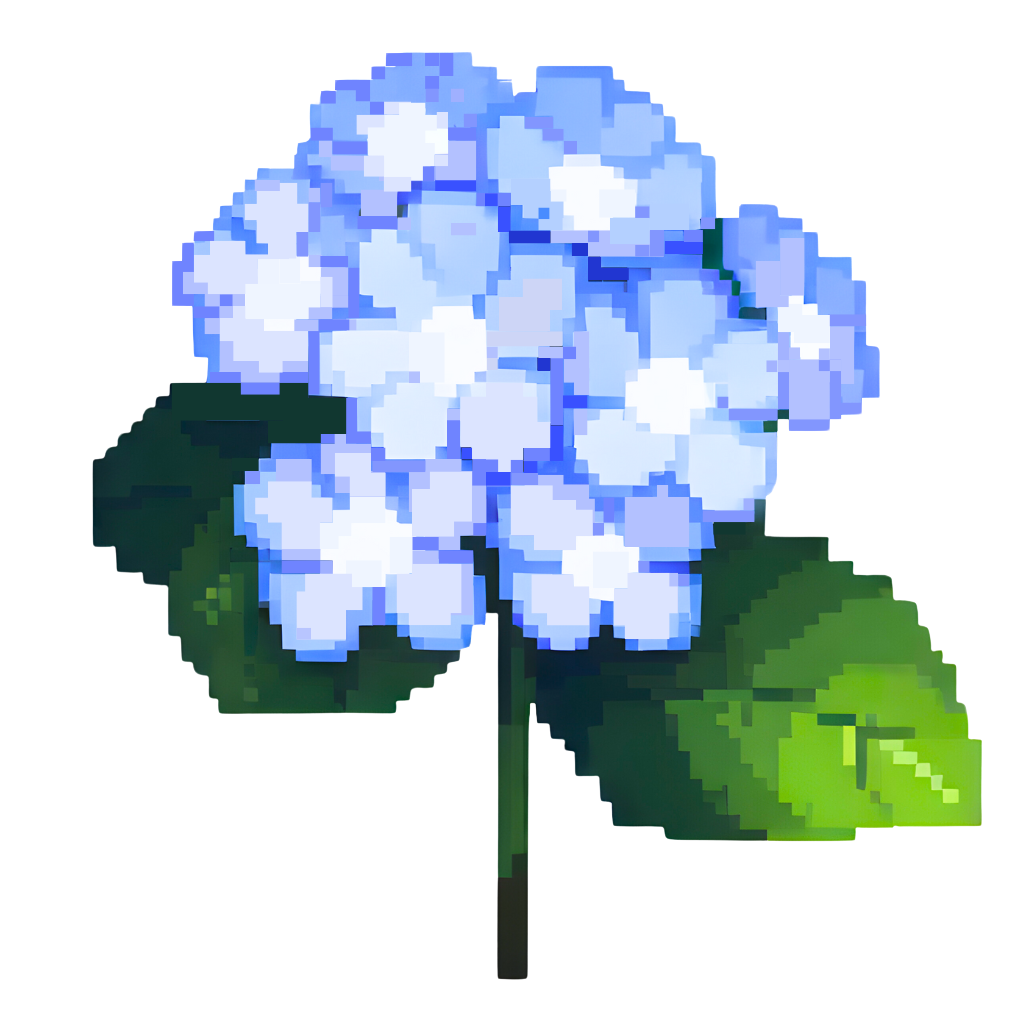 Zooming Image