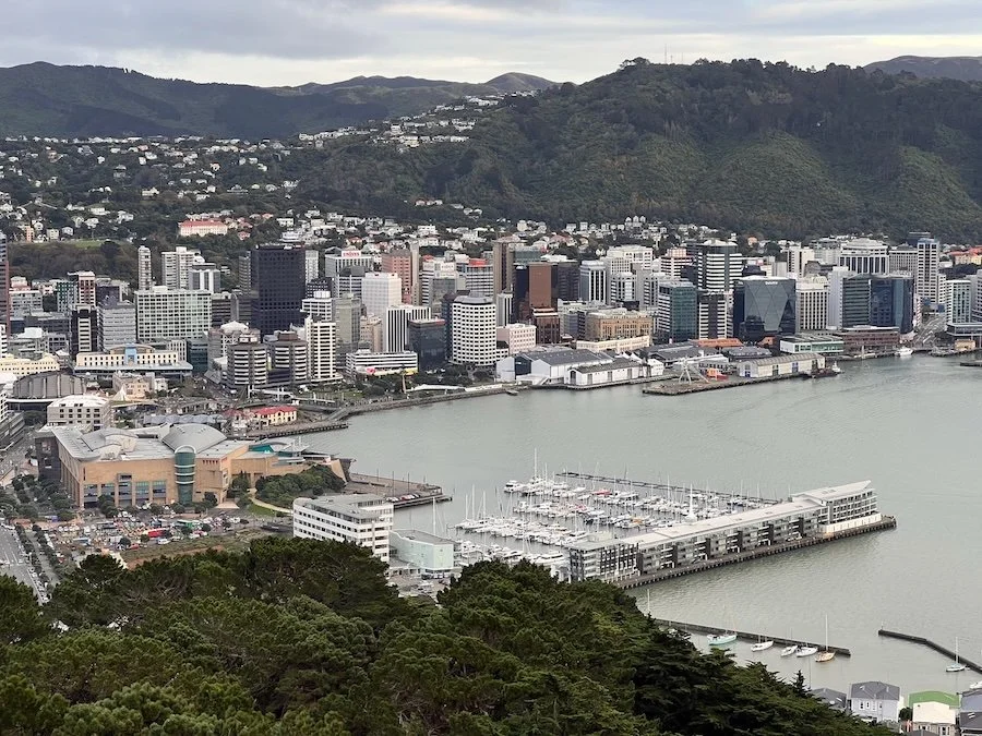 View of Wellington City from Mt Victoria