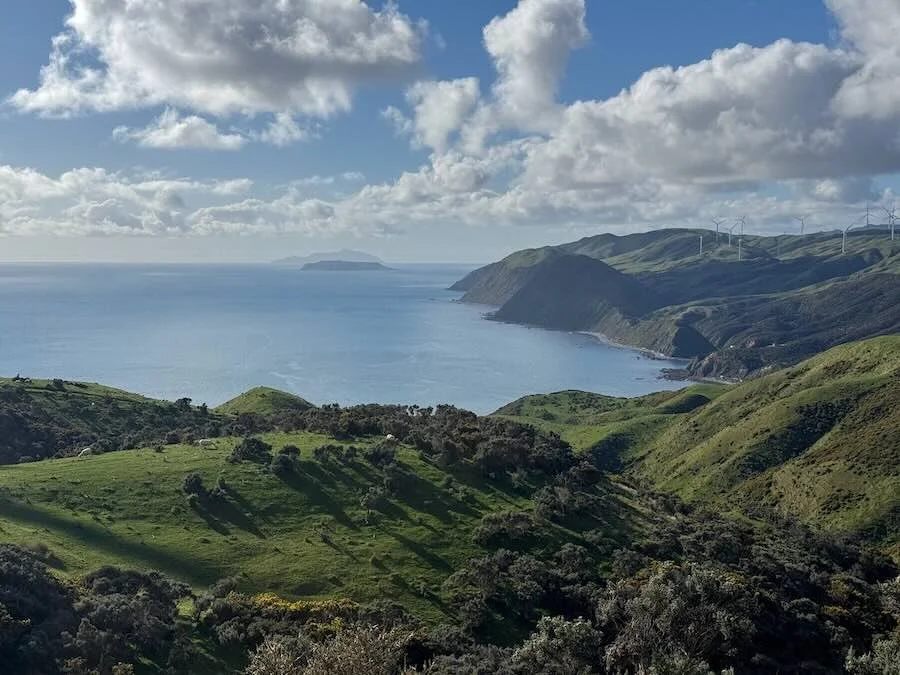 Makara Beach in Wellington Region
