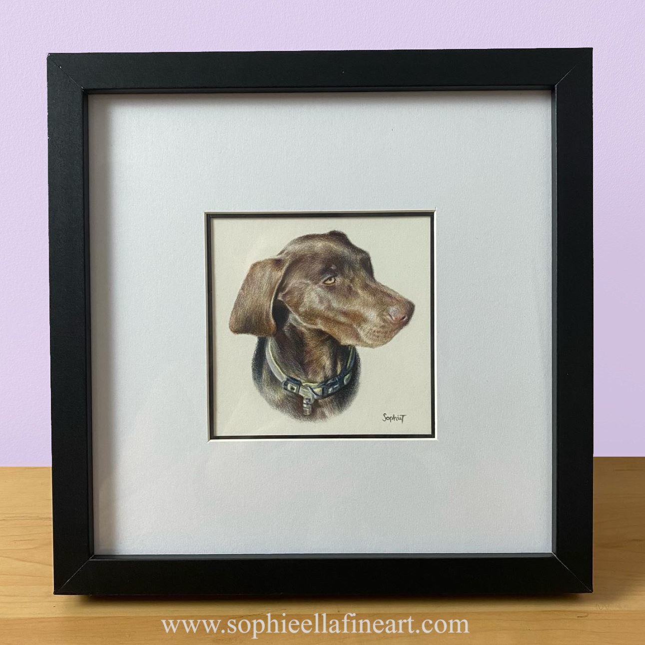 A 4x4 mini pet portrait of a dog in a black frame on a wooden shelf in front of a purple background