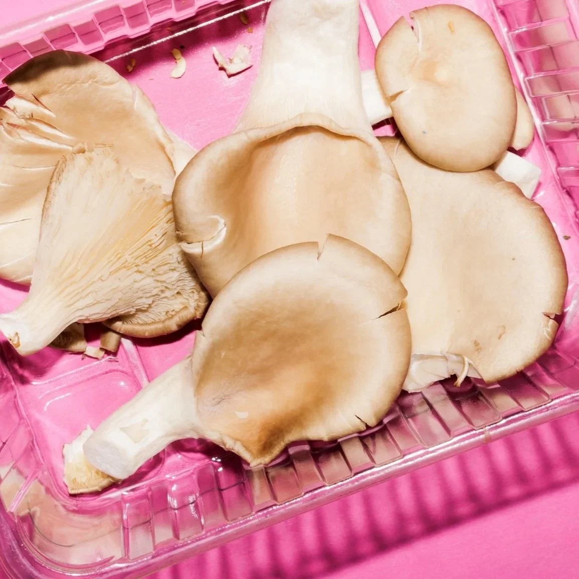 Mushrooms