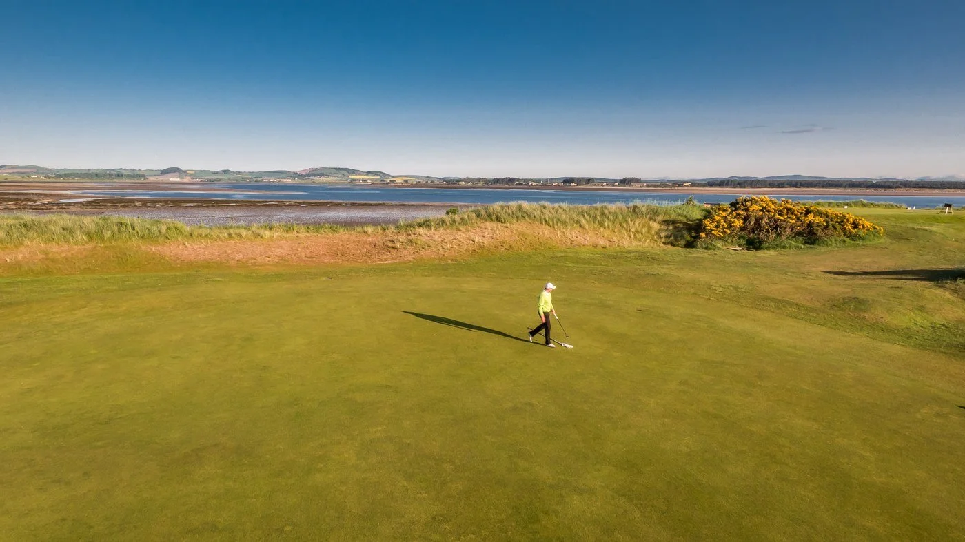 New Course — wind-bent golden grass