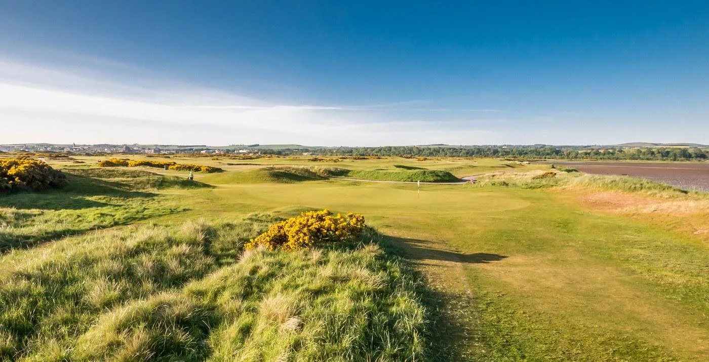 New Course St Andrews — wide panorama, gorse in bloom
