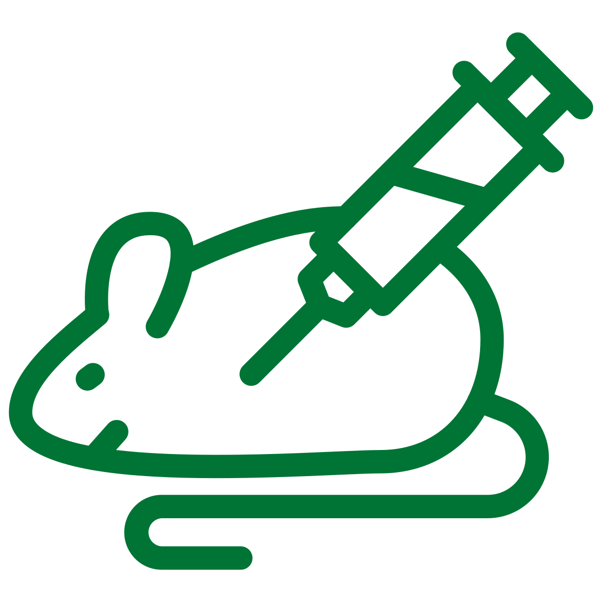 Project Icon