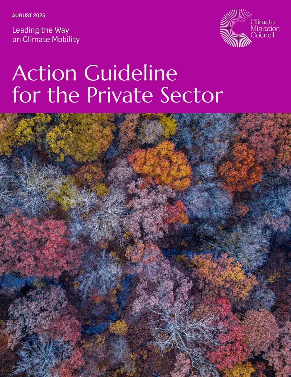 Action Guide for the Private Sector cover