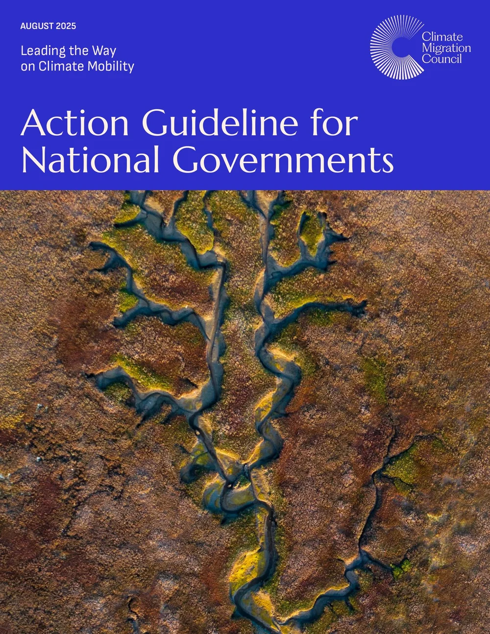 Action Guide for National Governments cover