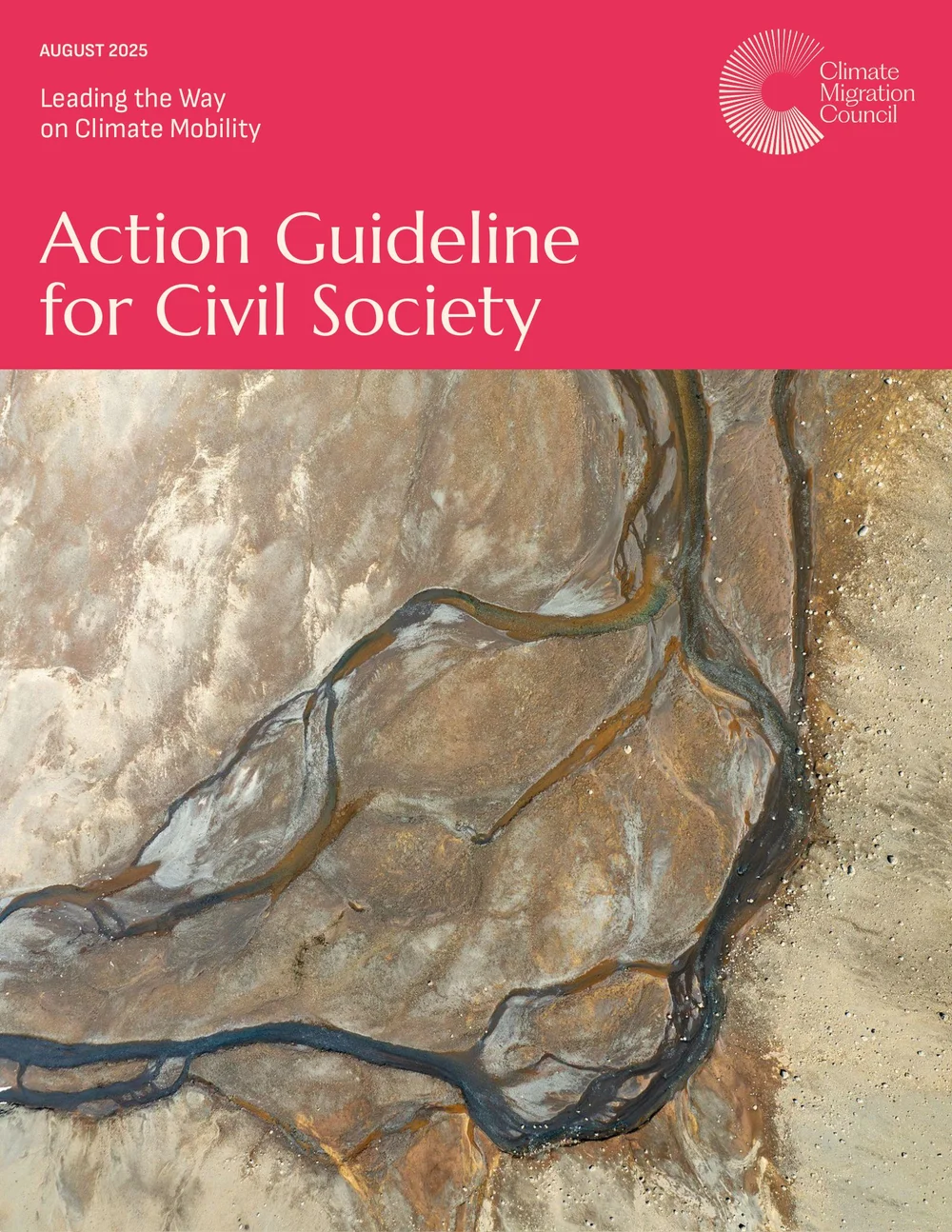 Action Guide for Civil Society Orgs cover