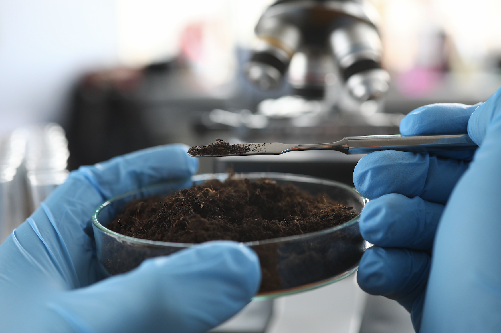 Soil Lab