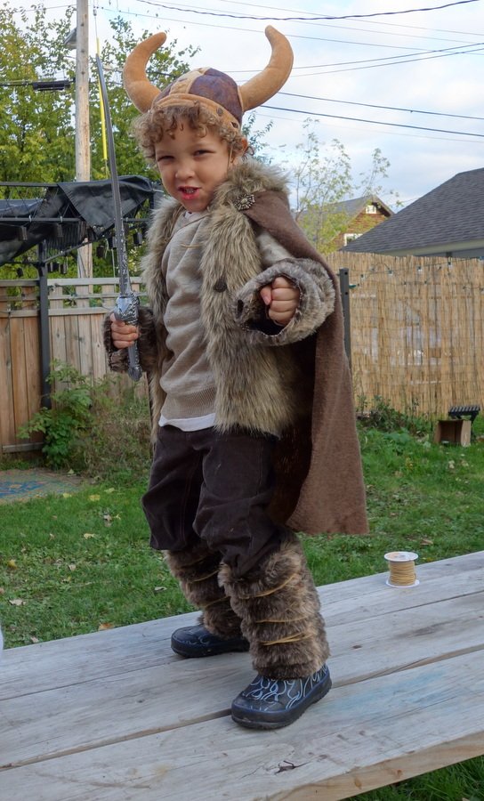 Homemade Viking Costume