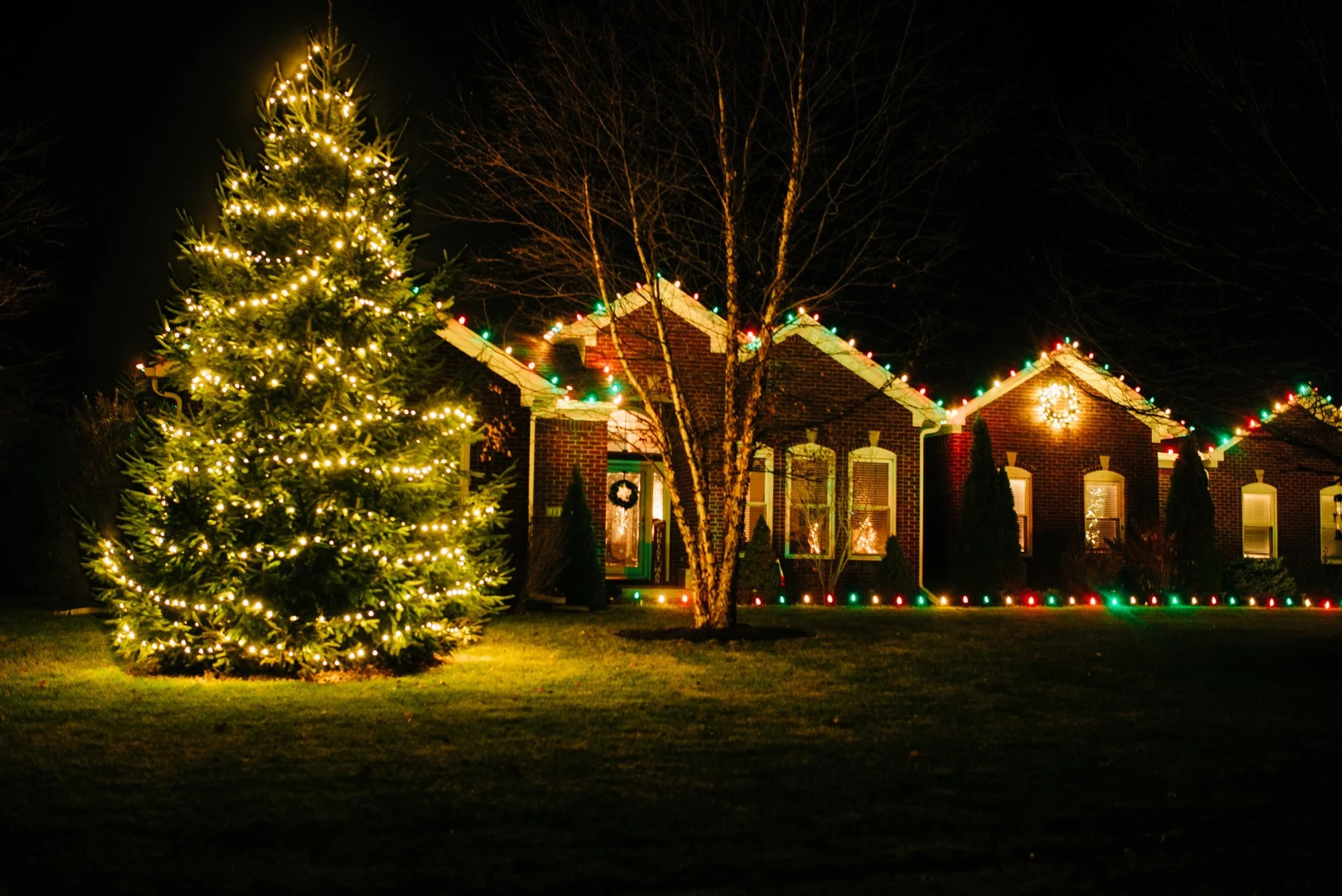 Evergreen glowing with warm white lights beside colorful Christmas roofline lights