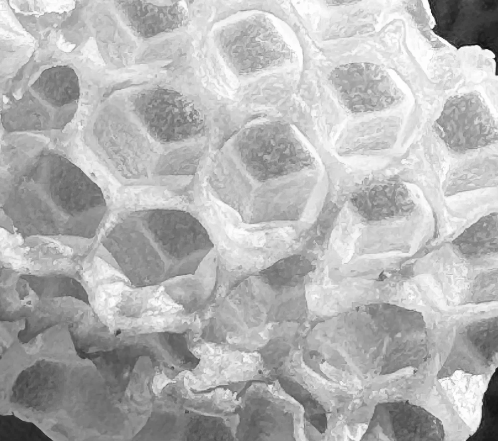 Honeycomb