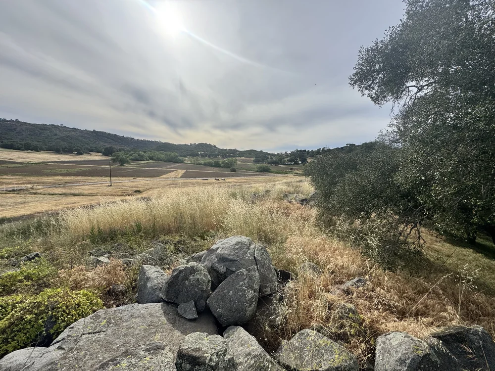 Open hills and stone circle