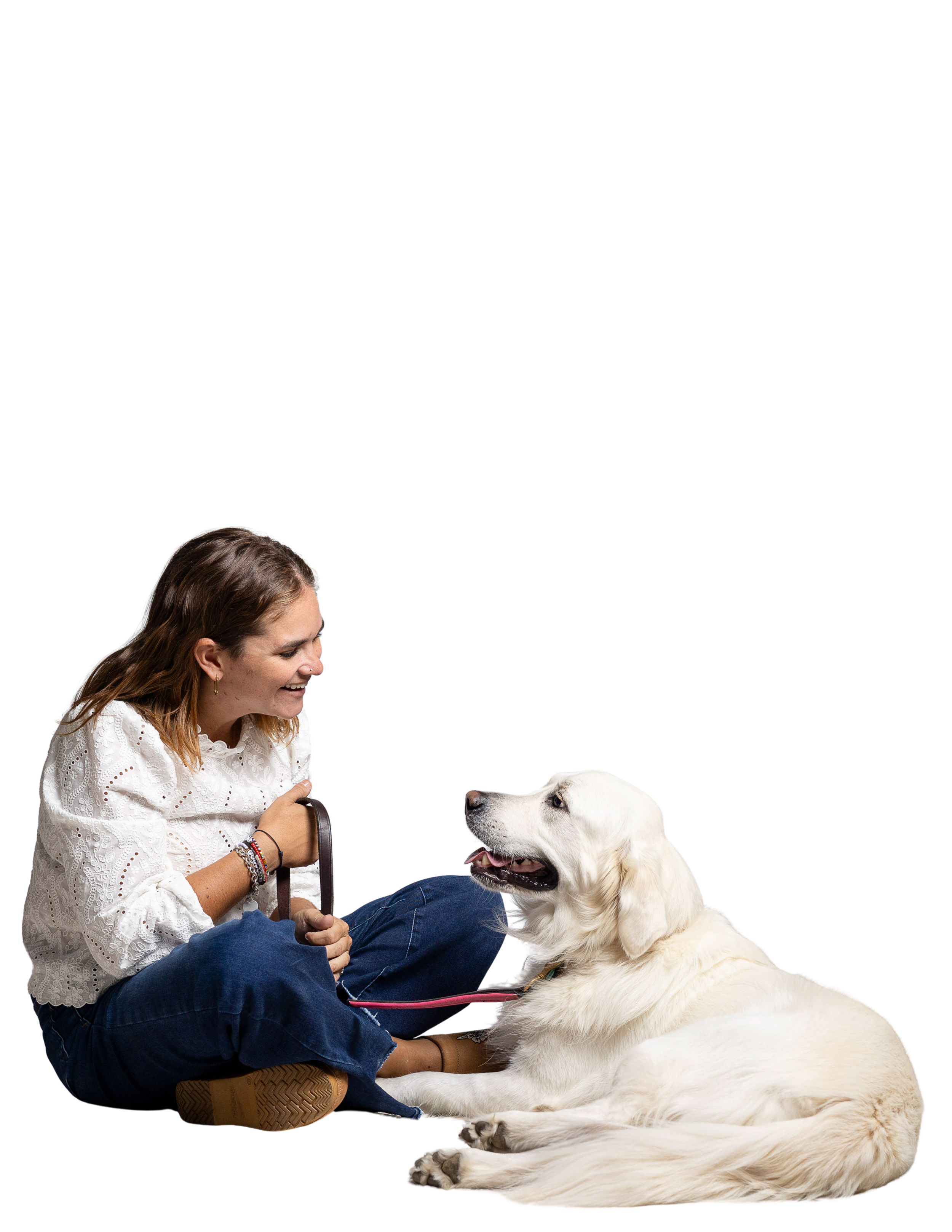 Pepper Walsh, an English Cream Golden Retriever