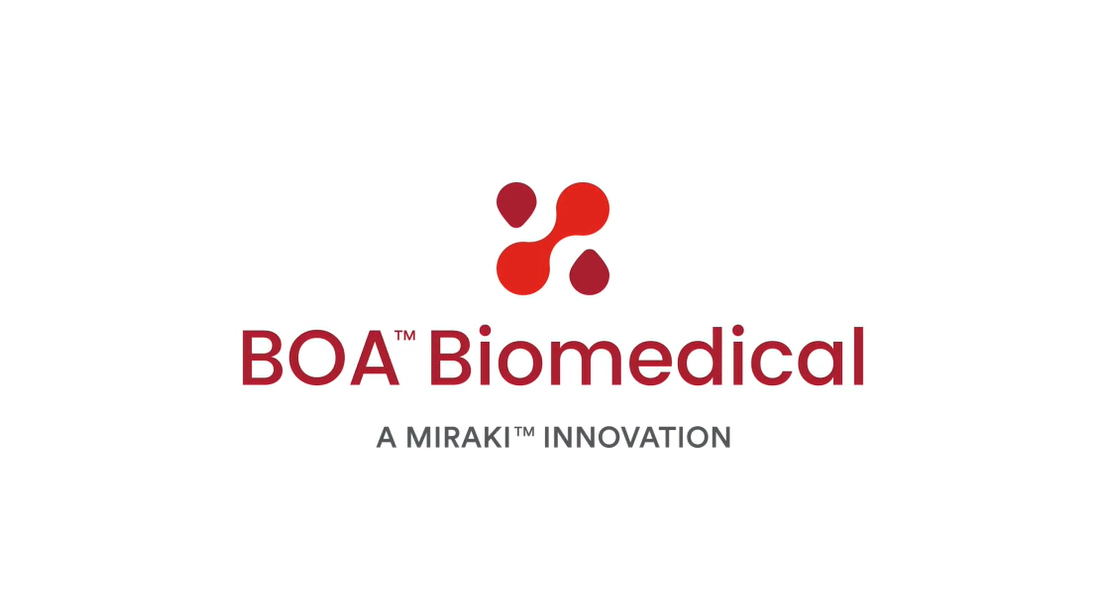 BOA Logo