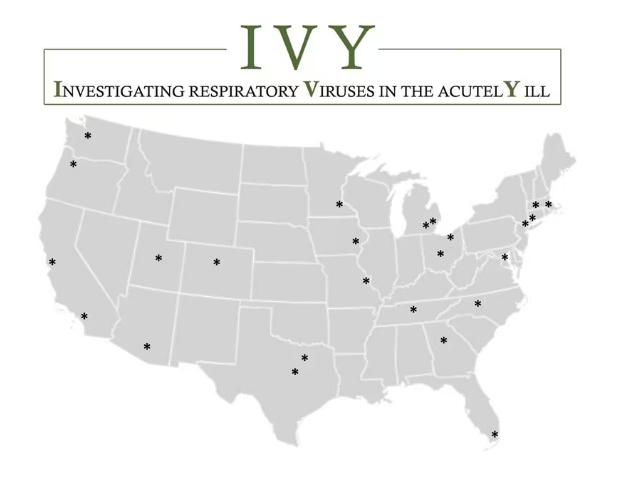 IVY 6 Logo