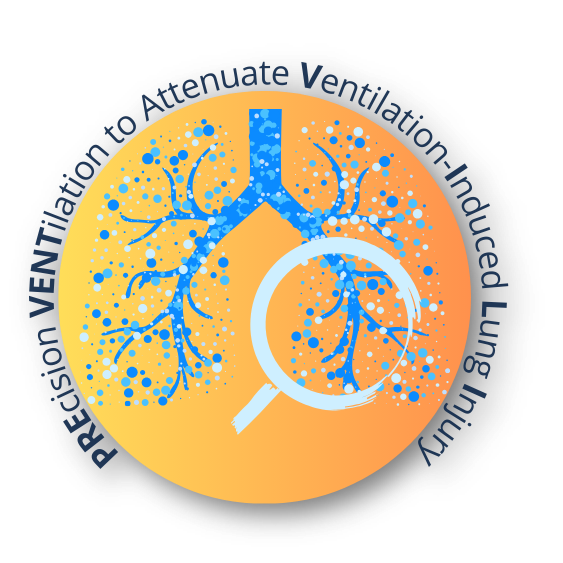 PREVENT-VILI Logo