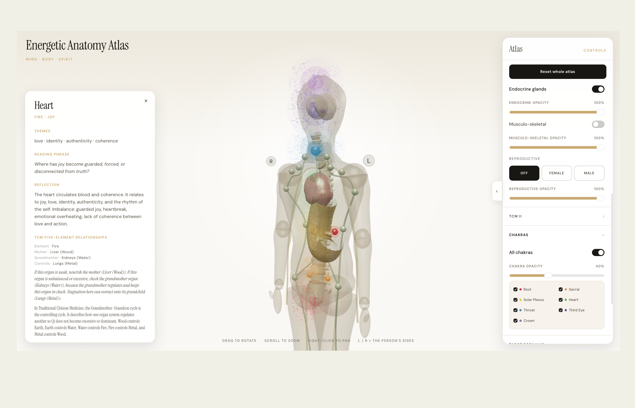 Energetic Anatomy Atlas inside Energy Mapping+