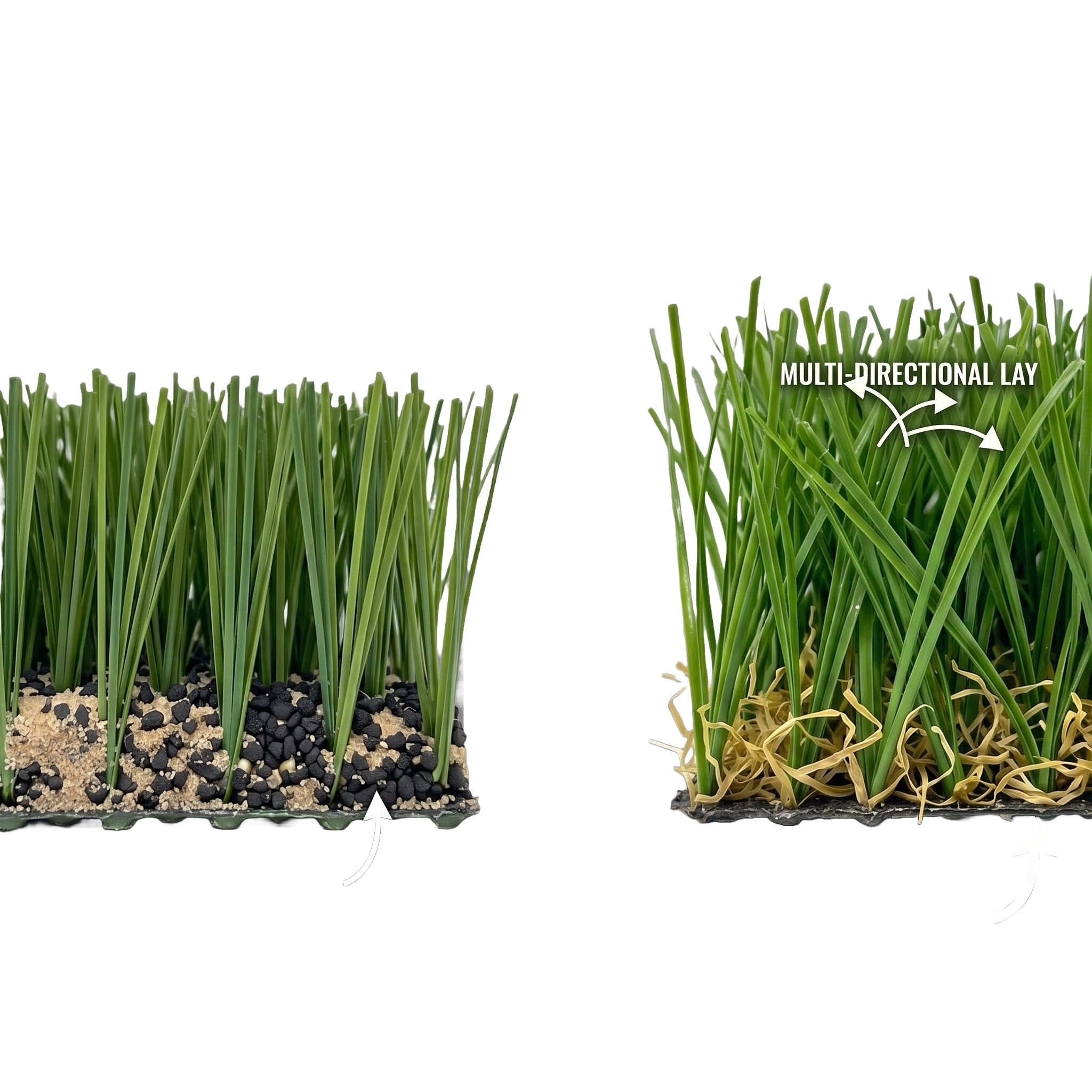 WildGrass Comparison