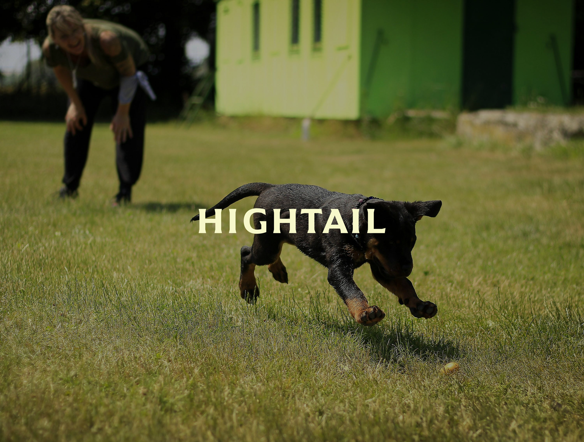 Hightail Pet Waste Removal