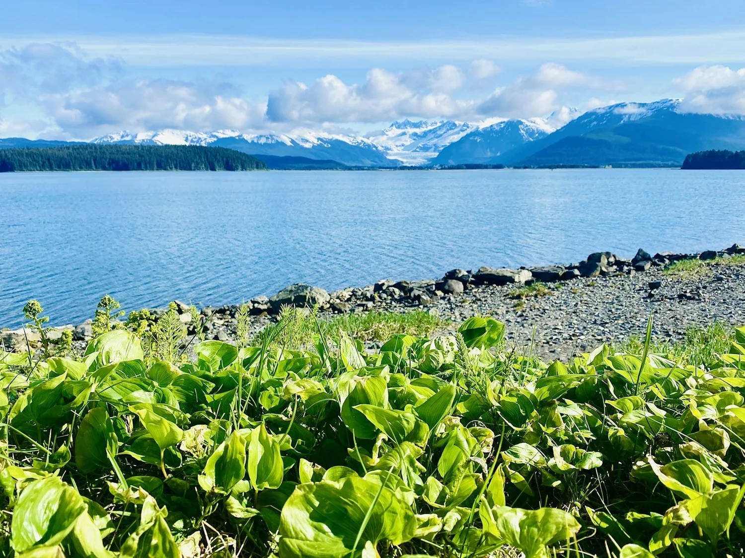 Icy Strait Point Alaska beach