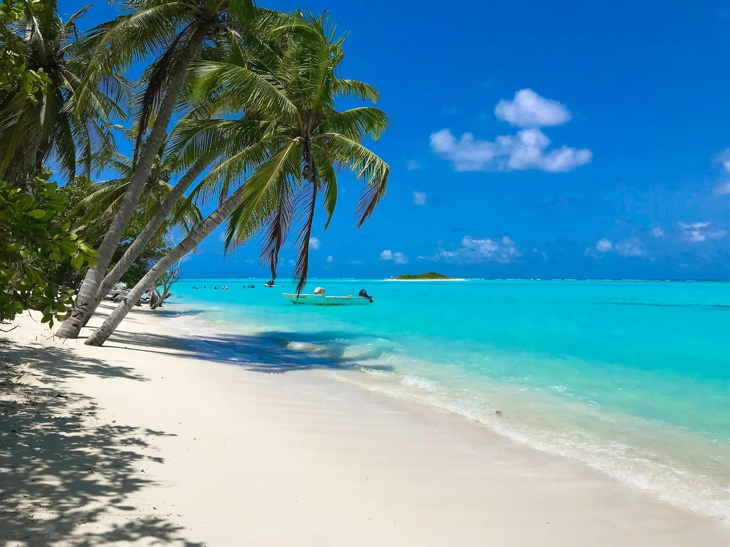 tropical beach vacation