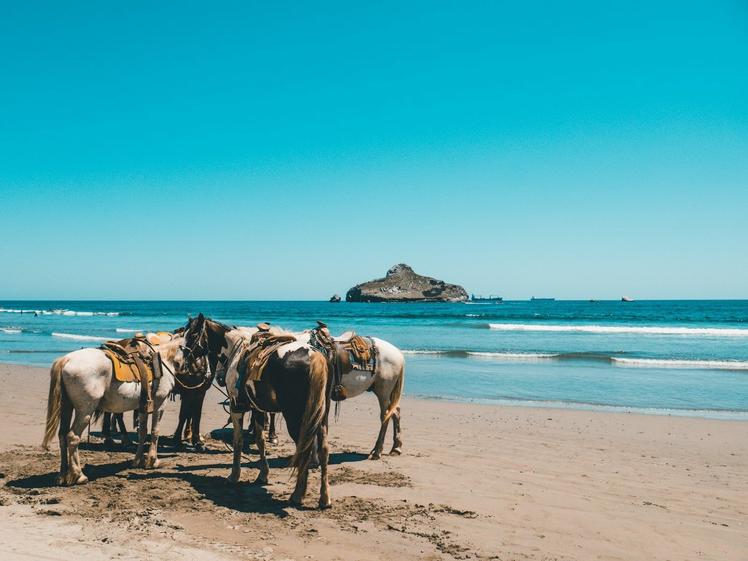 Mazatlan Mexico excursion
