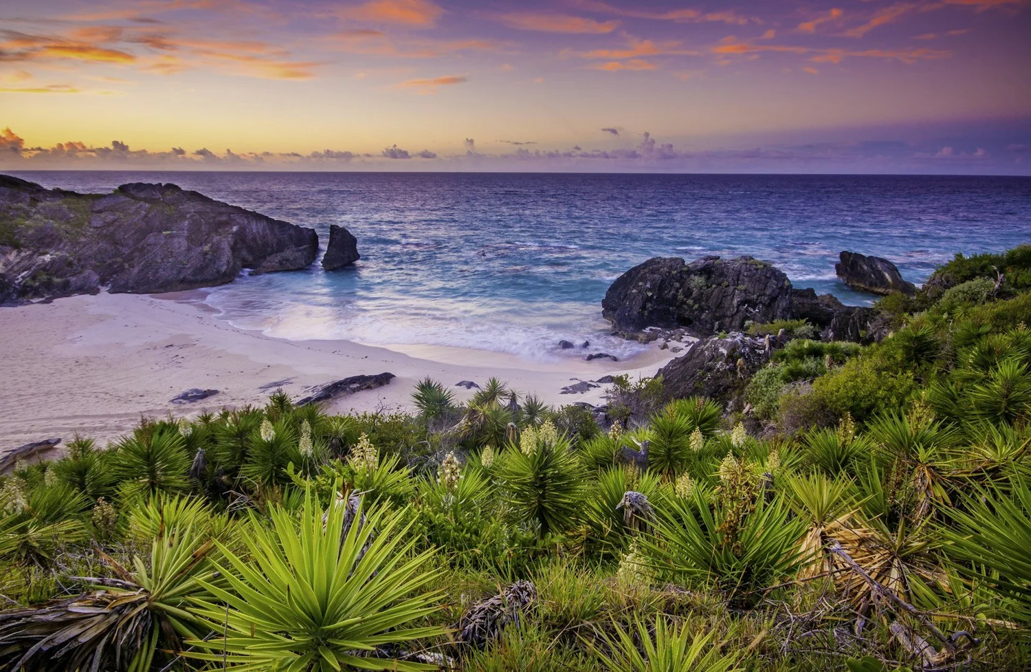 Bermuda beach