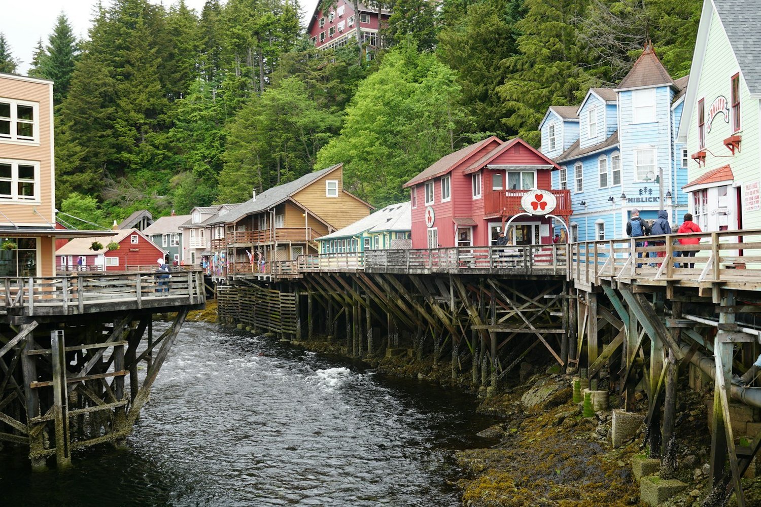 Ketchikan Alaska excursion view
