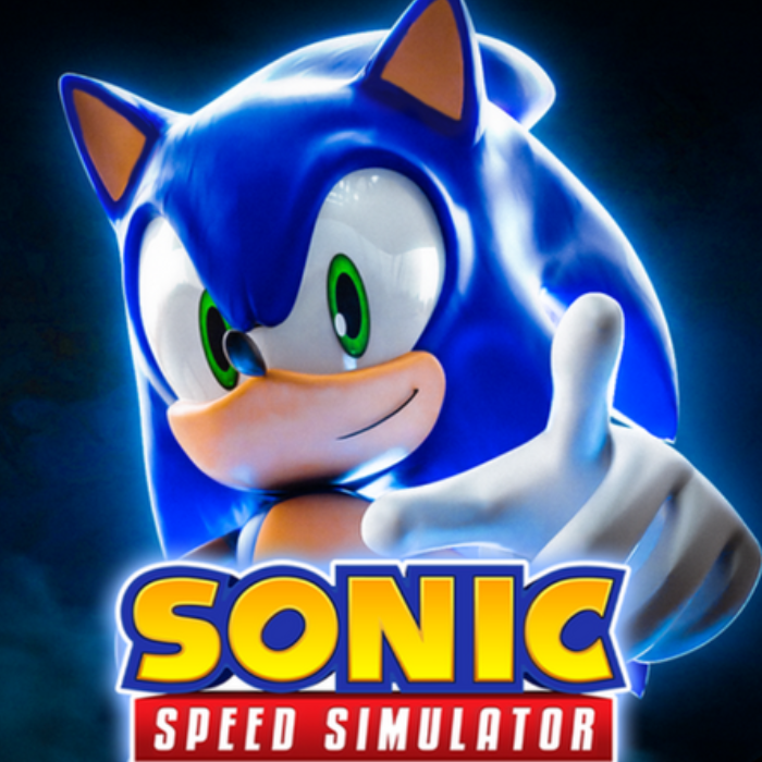 Sonic Speed Simulator