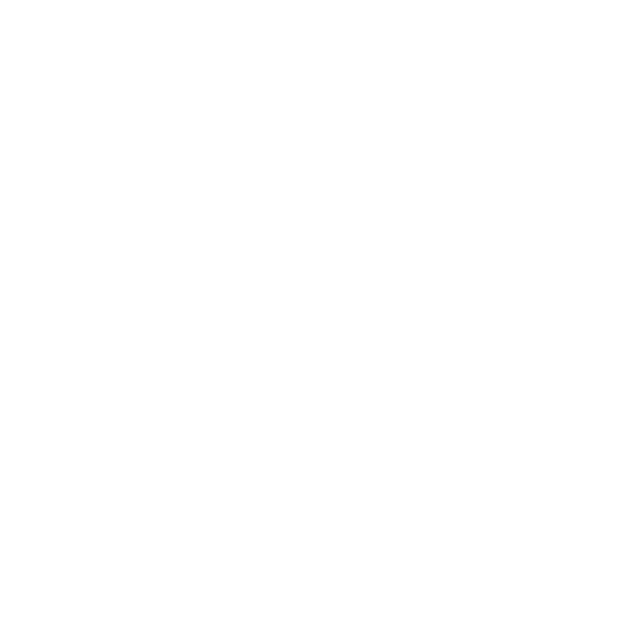 NFL Logo