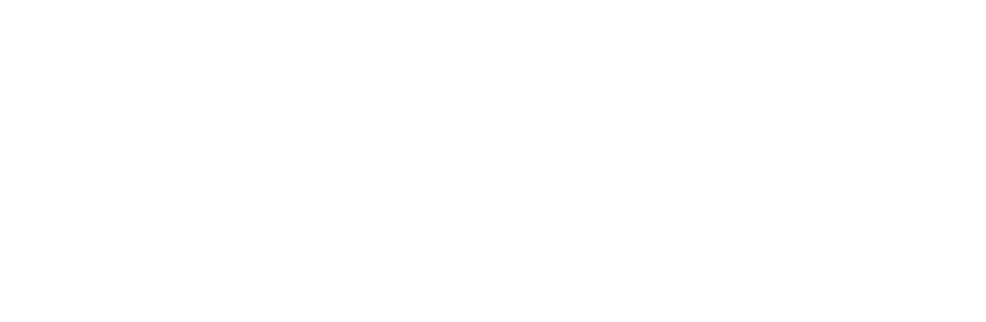 Fifa Logo