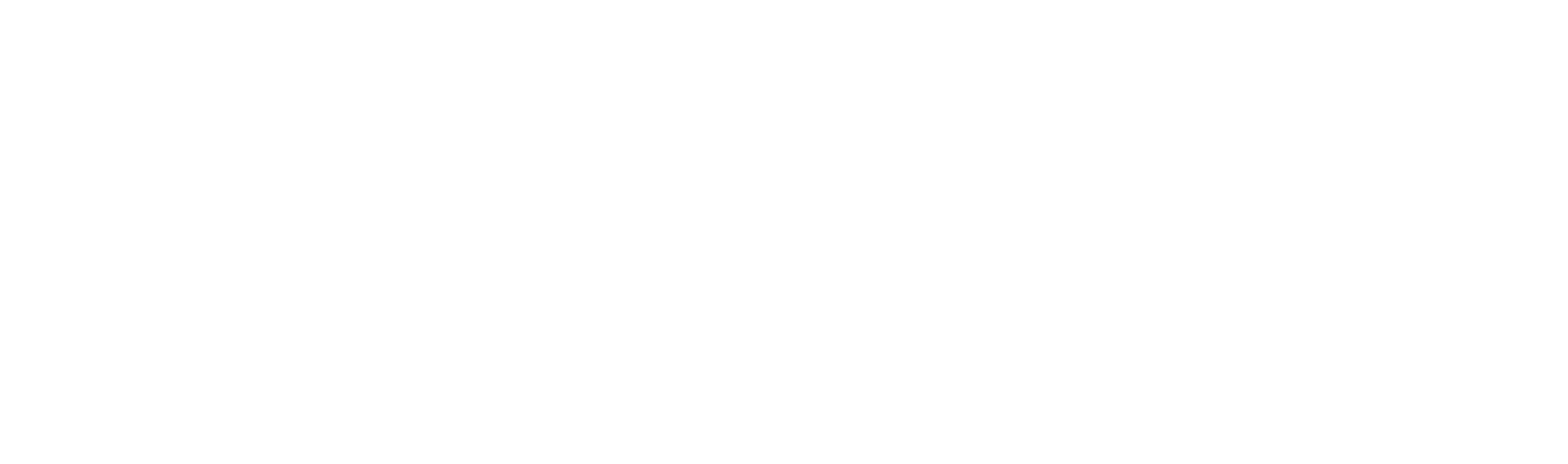 Rebel