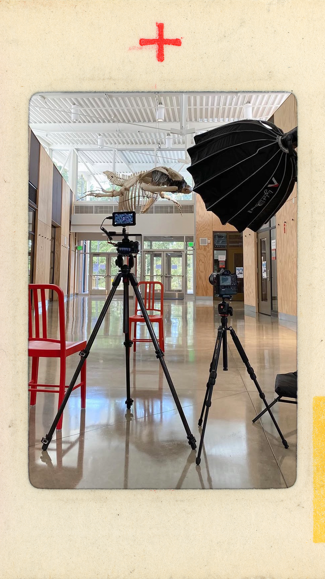 On location filming for Treehouse Labs