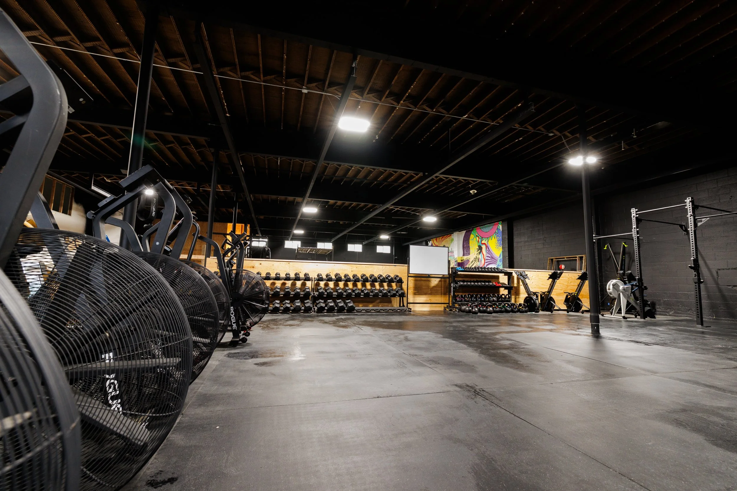 Root Strength & Physical Therapy Georgetown Seattle — shared training space with Muók Boxing