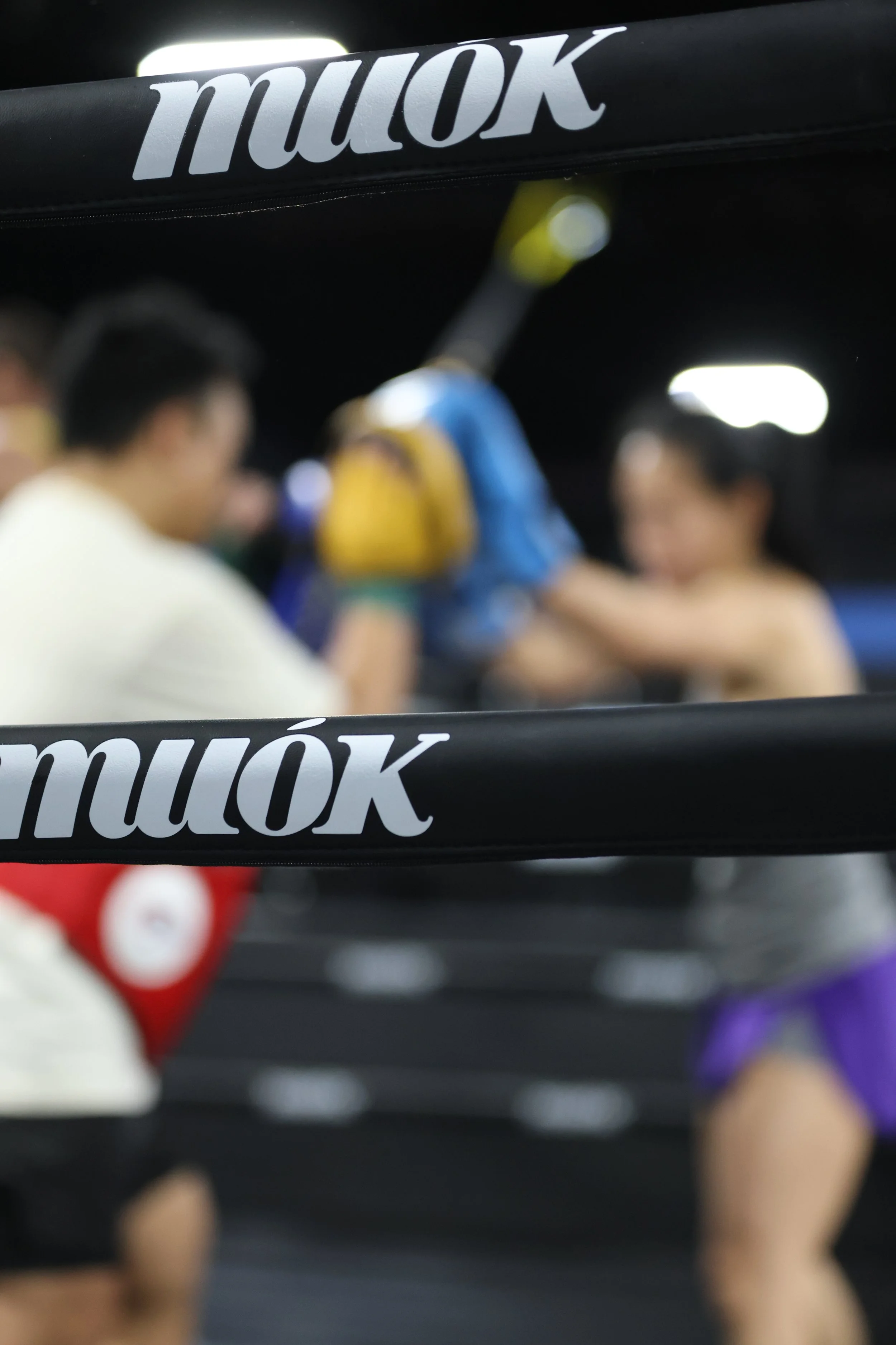Adult martial arts training at Muók Boxing Georgetown Seattle