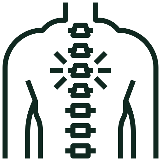 Chiropractic Icon