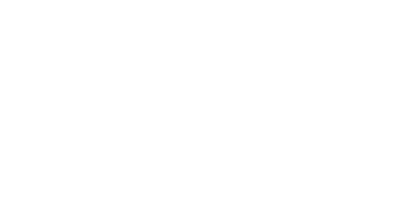 Victorinox