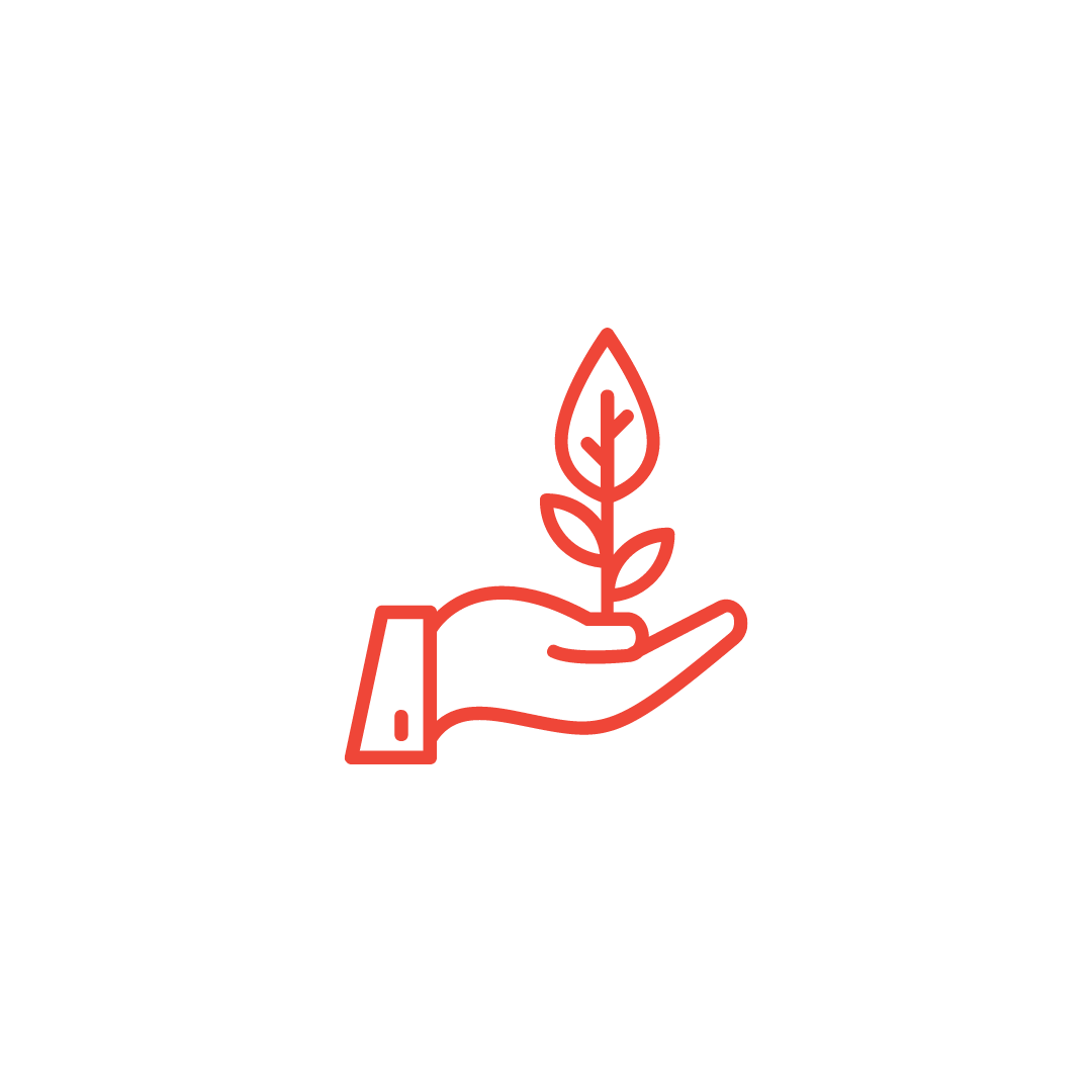 Red line art of a hand holding a sprouting plant.