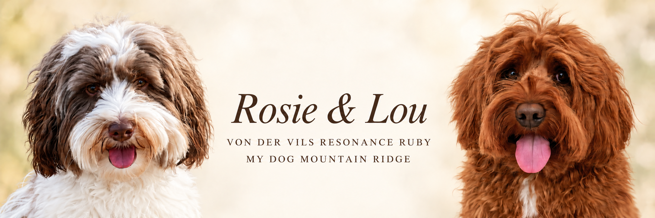 Rosie und Lou: Von der Vils Resonance Ruby und My Dog Mountain Ridge