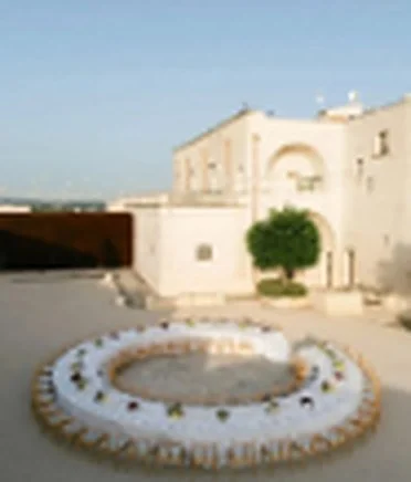 Table laid on a sunlit terrace beside an olive tree