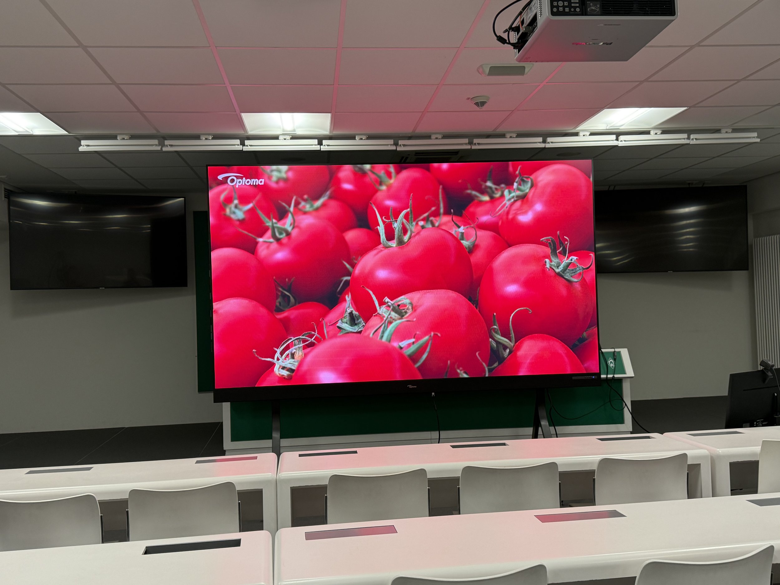Video Installation