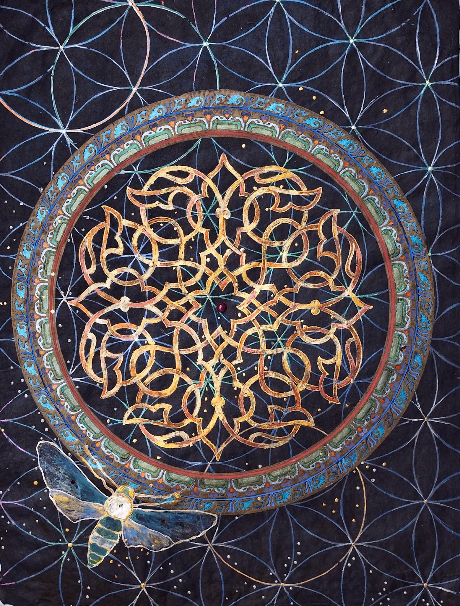Magnify Image