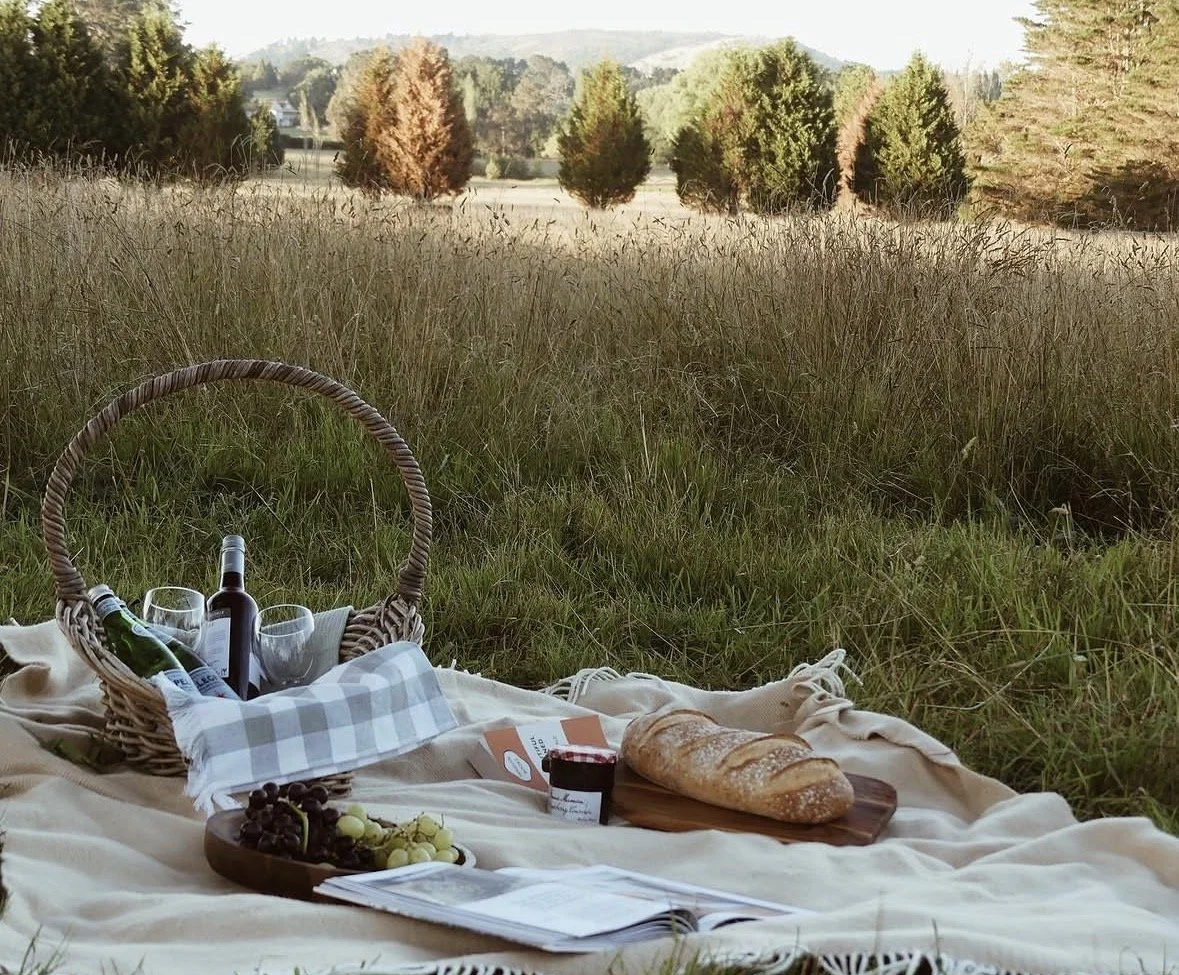 Open paddocks at Boscobel Estate, Sutton Forest — rolling Southern Highlands countryside in the morning light