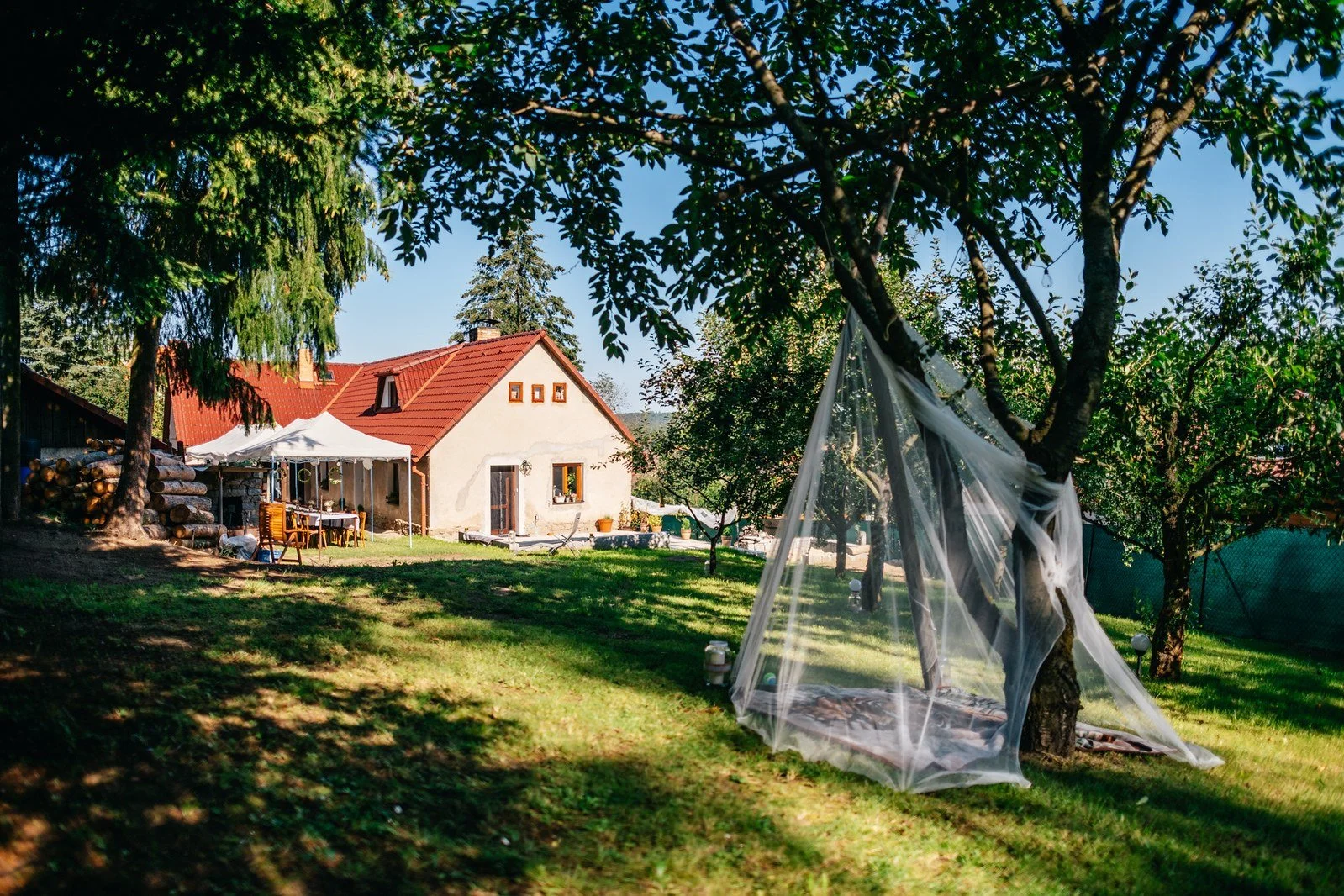 Široký úvodní pohled na venkovní areál se stromy a stavbou.