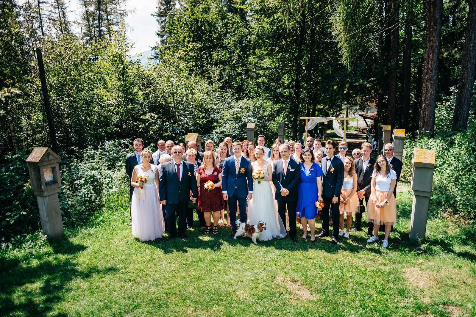 Společná fotografie svatebních hostů na louce před stromy.