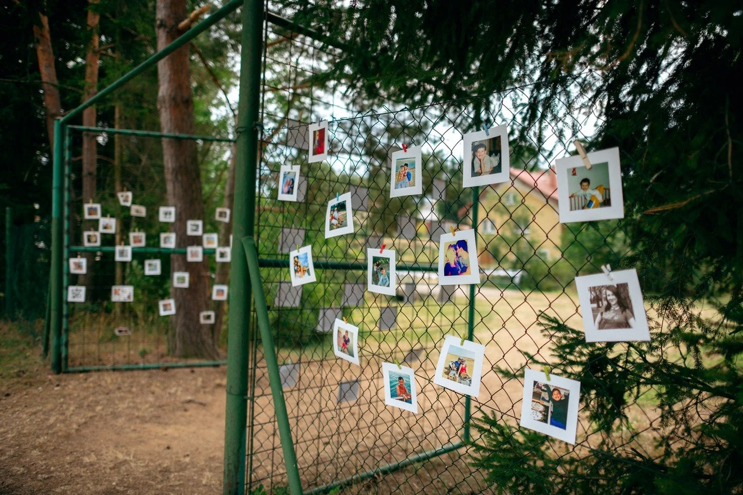 Na plotě mezi stromy visí řada malých fotografií připevněných kolíčky.