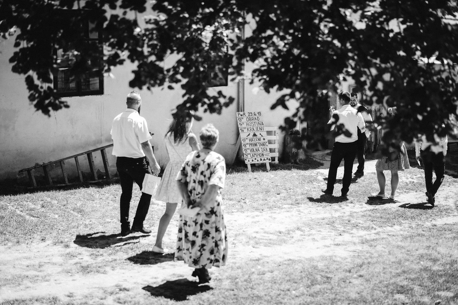 Černobílá momentka zachycuje hosty přicházející a postávající ve stínu velkého stromu.