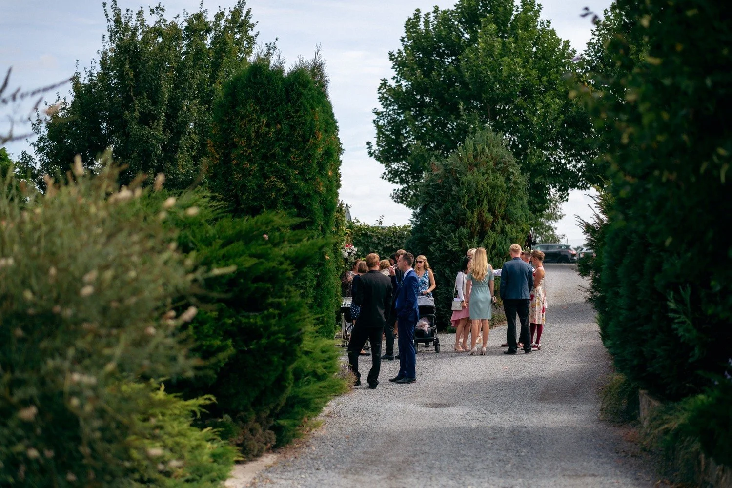 Skupina slavnostně oblečených lidí přichází po cestě mezi vysokými keři.