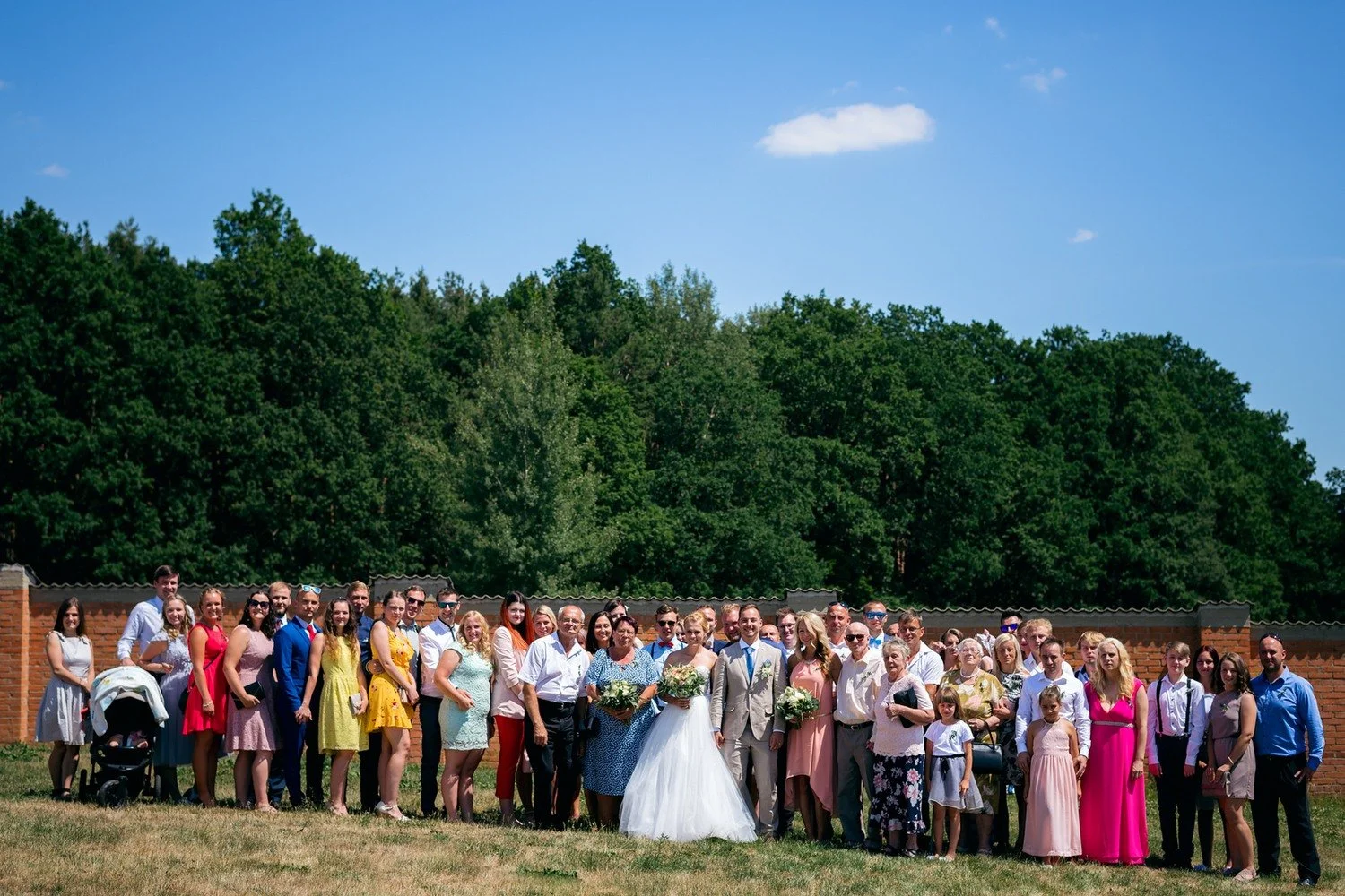 Velká skupina svatebčanů pózuje v řadě na louce s lesem v pozadí.